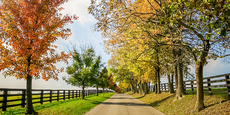 Kentucky Backroads